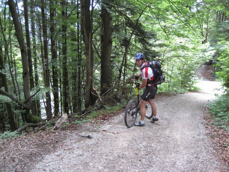 Click for original image