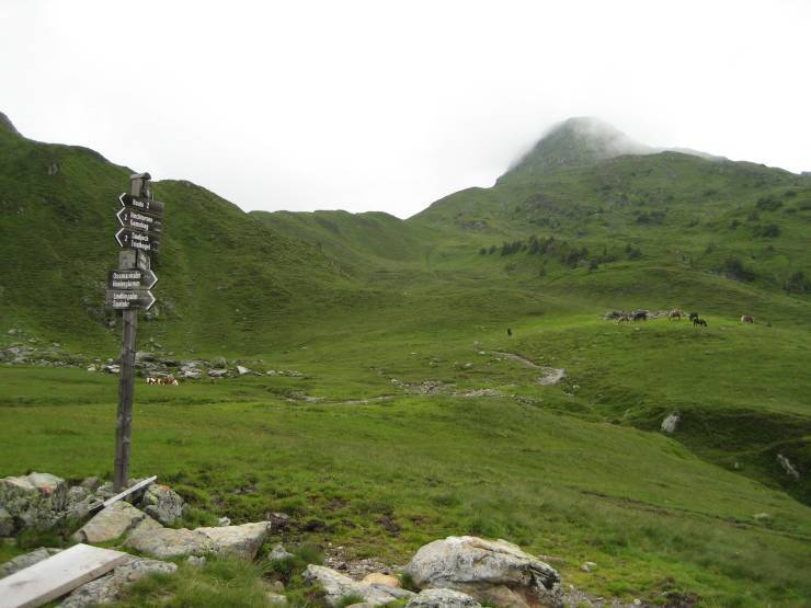 Click for original image