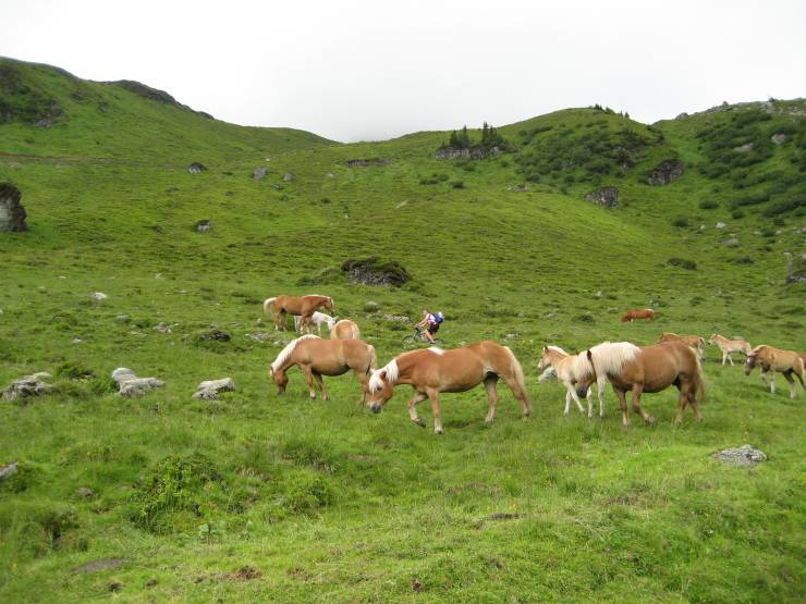 Click for original image