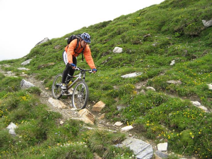 Click for original image