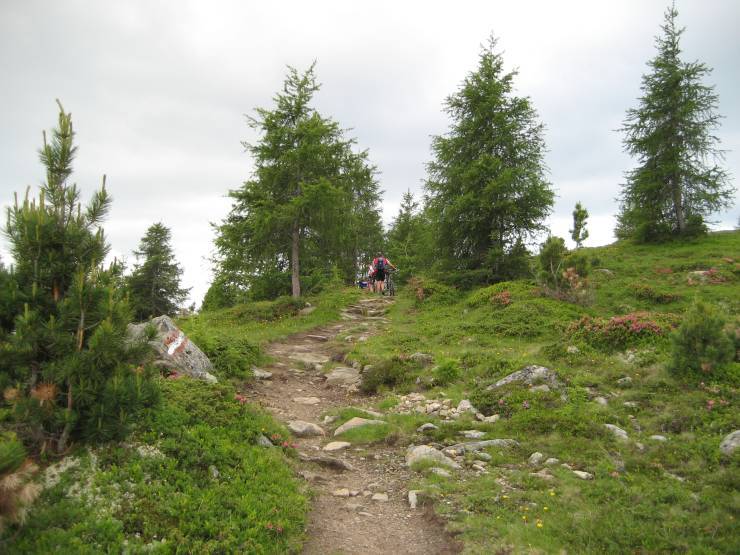 Click for original image