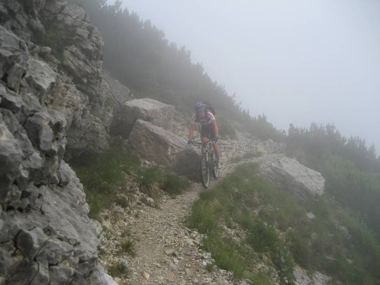 Click for original image