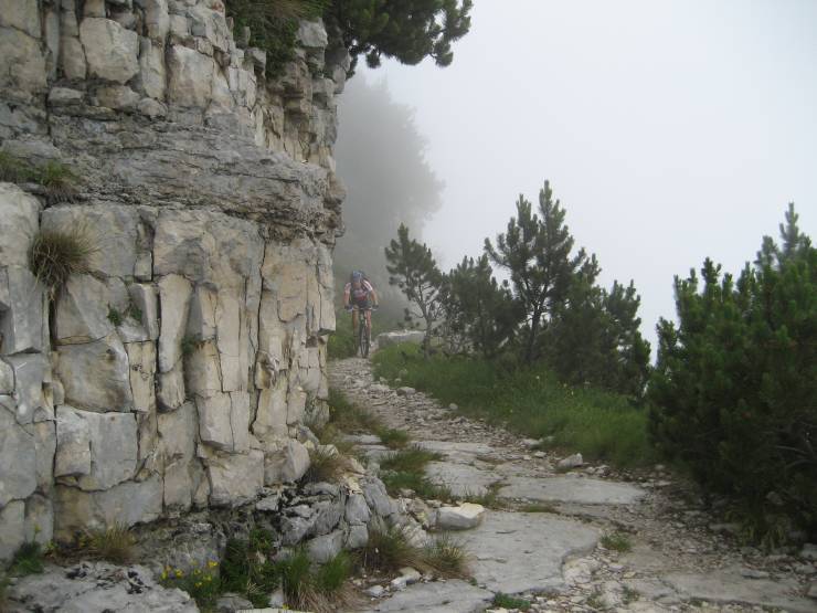 Click for original image