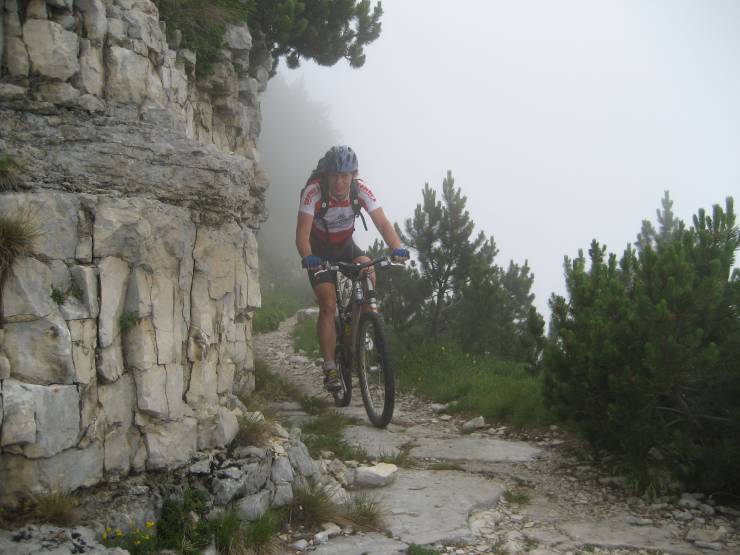 Click for original image