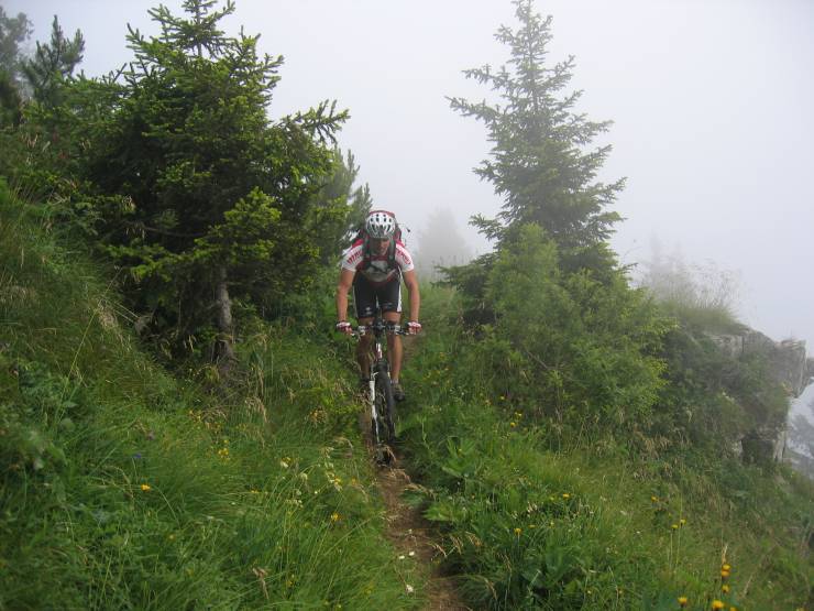 Click for original image