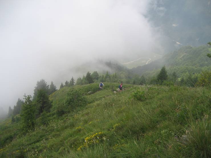 Click for original image