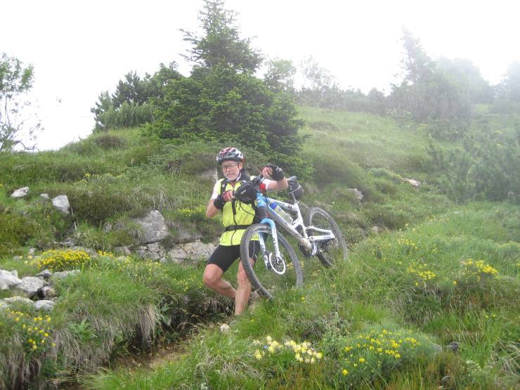 Click for original image