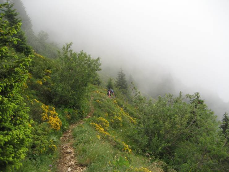 Click for original image