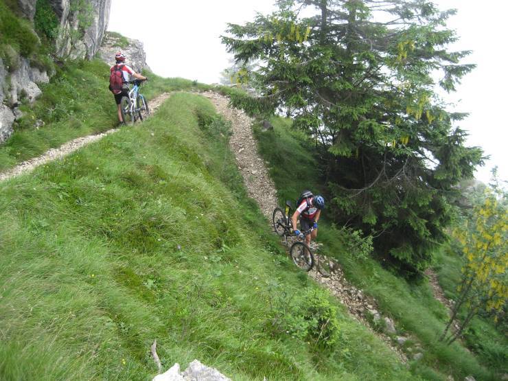 Click for original image