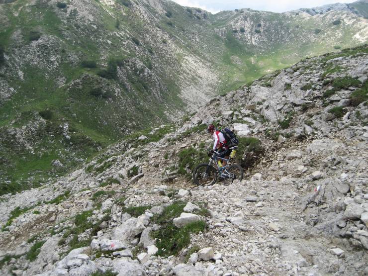 Click for original image