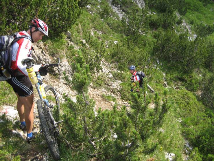 Click for original image